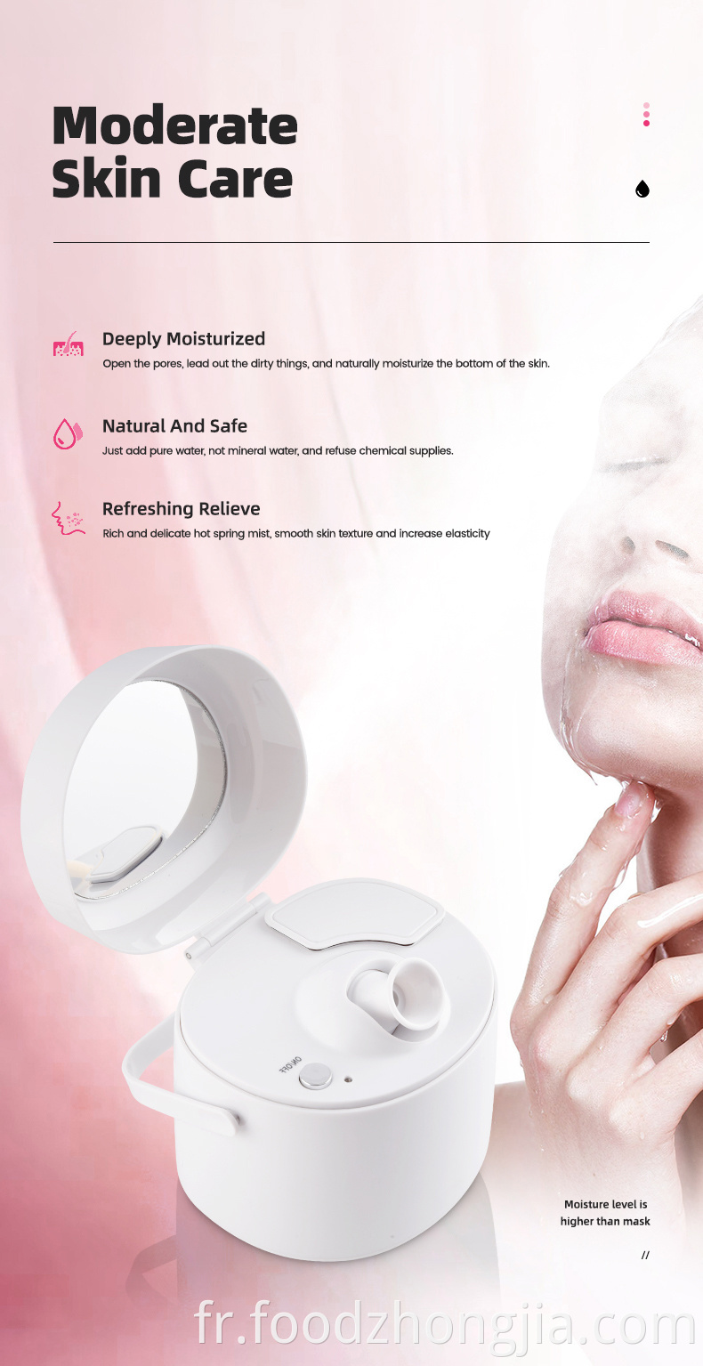 Hot Mist Facial Home Spa Hot ionic Mist pulvérisateur ionic pulvérisation nano bateau à vapeur facial portable